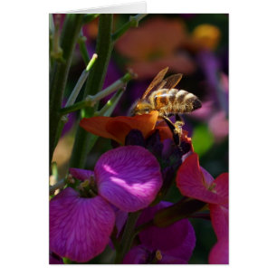 Sois une abeille occupée !