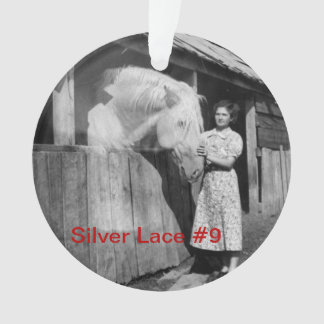 soixante-dixième Ornement argenté de la dentelle