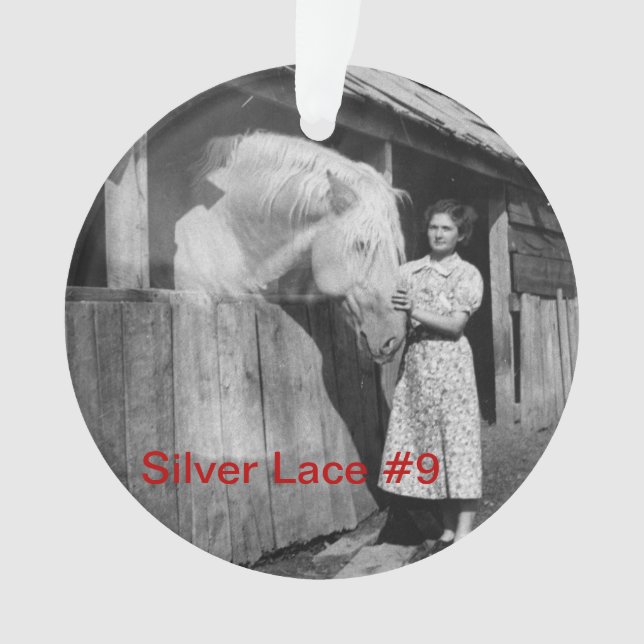 soixante-dixième Ornement argenté de la dentelle (devant)