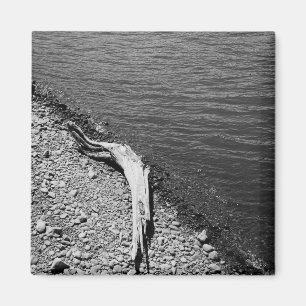 Solde naturel - Aimant à vie fixe en bois de chauf