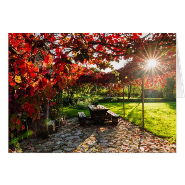 Soleil à travers les feuilles d'automne, Croatie (Devant horizontal)