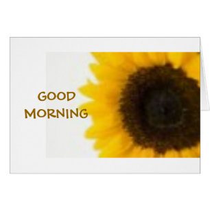 SOLEIL BONJOUR