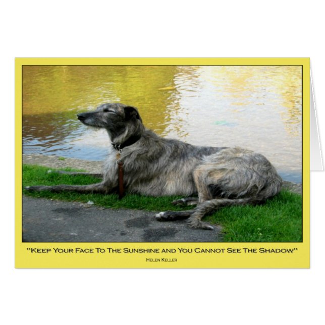 Soleil, carte, vide à l'intérieur (Devant horizontal)