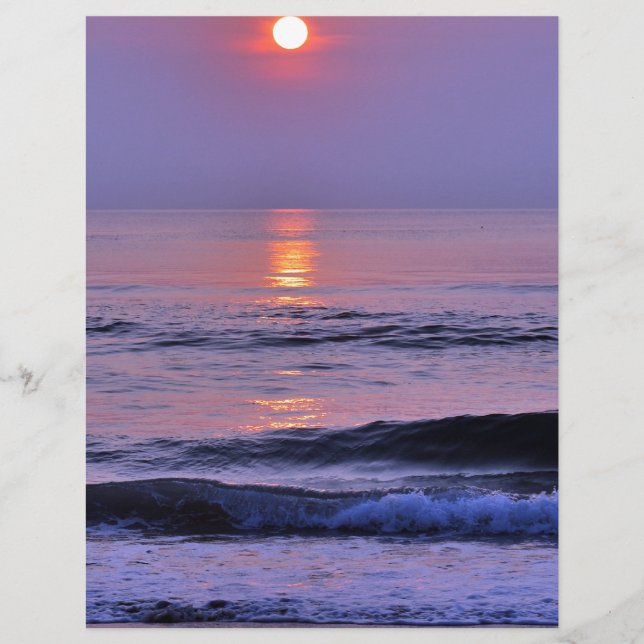 Soleil de lavande (Devant)