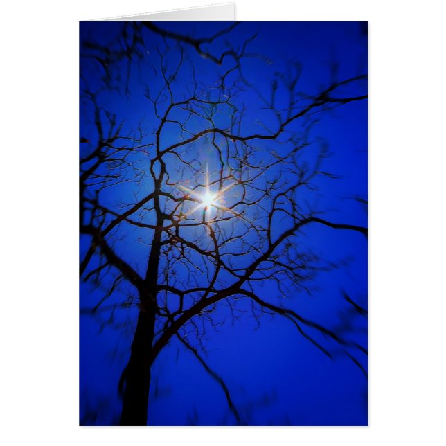 Soleil de minuit (Devant)