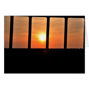 Soleil de prisonnier