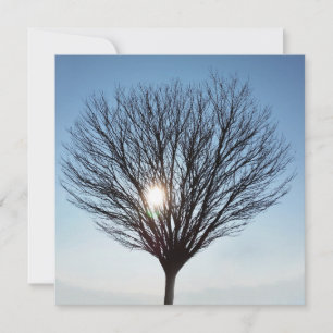 soleil d'hiver