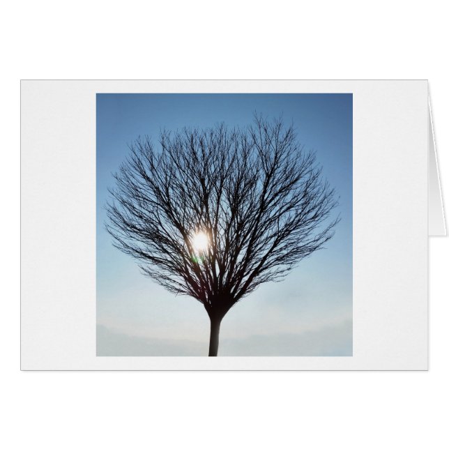 soleil d'hiver (Devant horizontal)