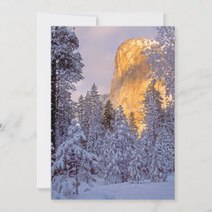 Soleil d'hiver sur El Capitan à Yosemite