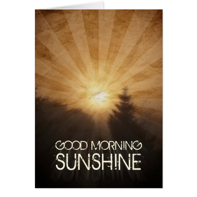 Soleil du bon matin (Devant)