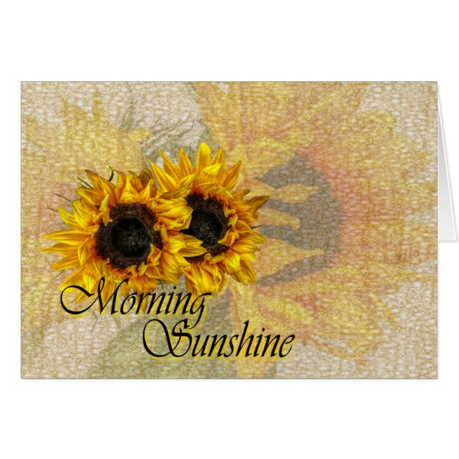 Soleil du matin.. (Devant horizontal)