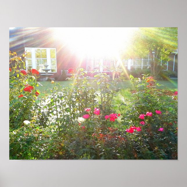 SOLEIL ET affiche ROSE (Devant)