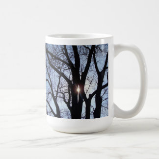 Soleil par la tasse d'arbres
