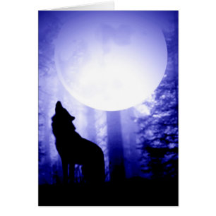 Solely Wolf Howling at Moon