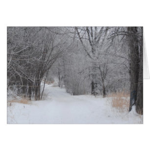 Solitude hivernale