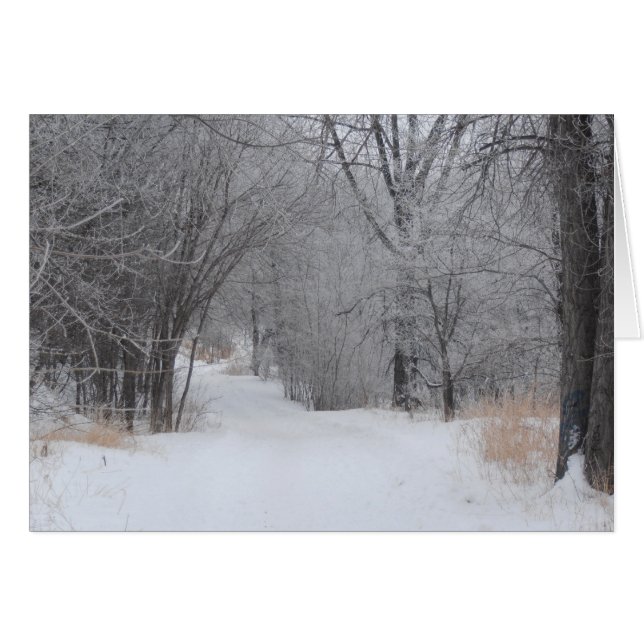 Solitude hivernale (Devant horizontal)