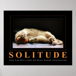 SOLITUDE Photo Chat Poster Anti-Motivationnel
