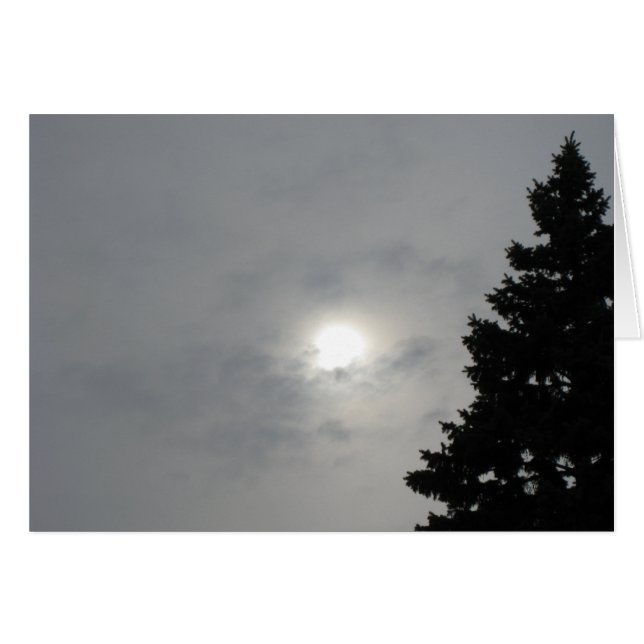 Solstice Sun II Heureux Salutation solstice (Devant horizontal)