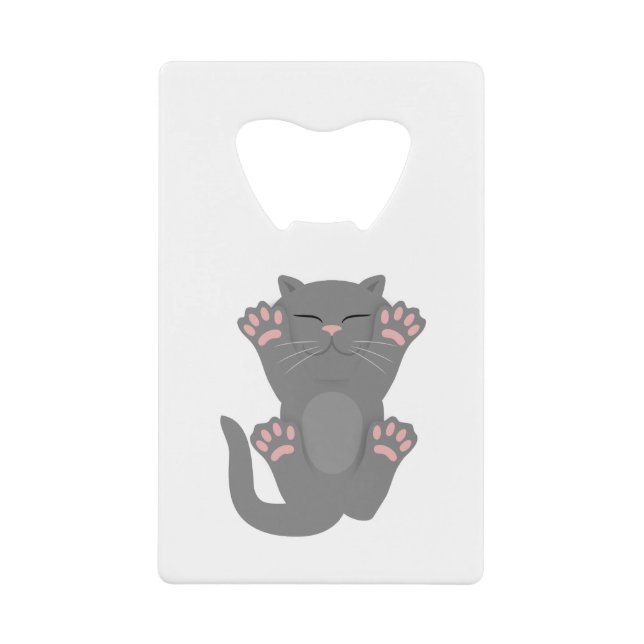 sommeil du chat (Devant)