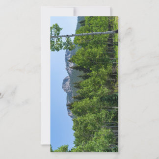 sommet thorodin au-dessus des bois à la porte d'or