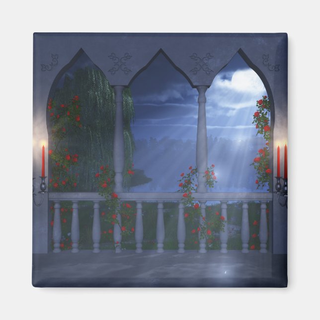 Son aimant manteau d'argent (Devant)