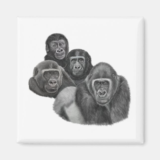 Son Gorilla Magnet By AGE. Gorilla Life (Devant)