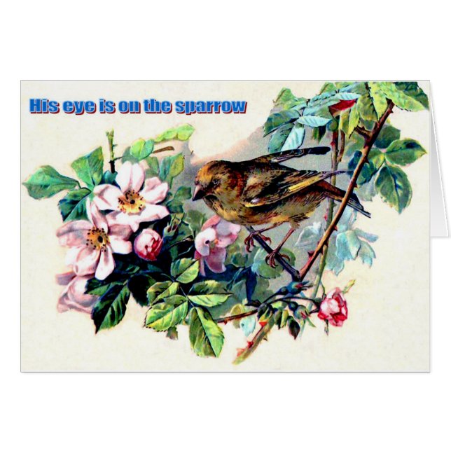 Son oeil est sur le moineau (Devant horizontal)