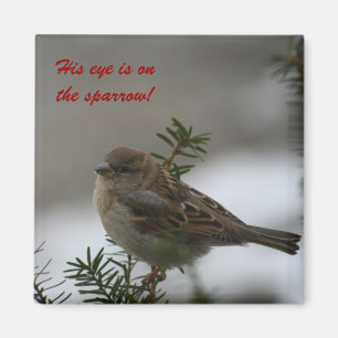 Son oeil est sur le moineau ! Aimant