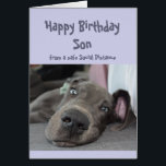 Son Social Distance Birthday Great Dane Dog<br><div class="desc">Funny Social Distance Birthday Card for your Son with a cute resting,  laying around,  doing nothing Great Dane Dog. Inside verse : Make sure you don't overdo the partying this year. Great card for that special with a sense of humor or one who likes Great Danes,  dogs and hummor</div>