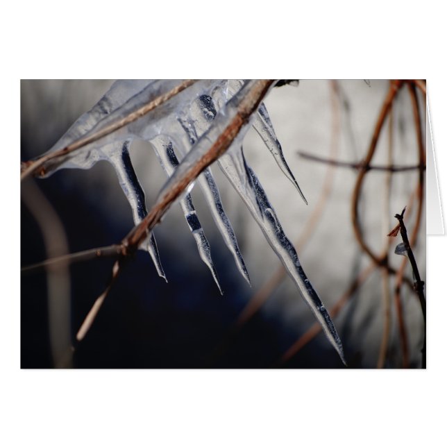 son toucher mordant (Devant horizontal)