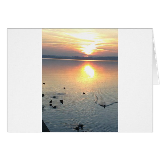 Sonnenuntergang am Voir mit Enten (Devant horizontal)