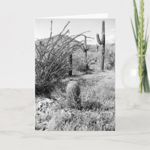 Sonoran Cactus Desert Garden Photo Carte de voeux