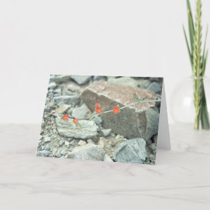 Sonoran Desert Blossoms Carte de voeux ou Carte de