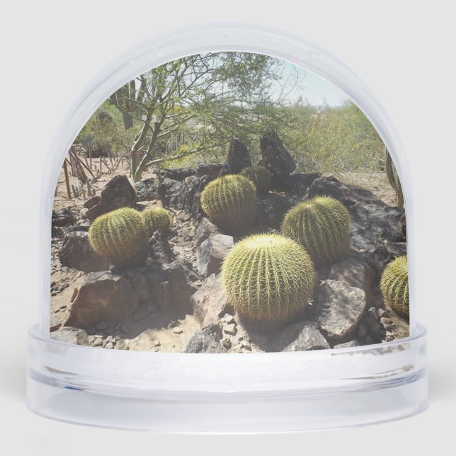 Sonoran Desert Snow Globe (Avant)