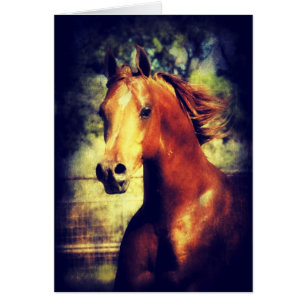 Sorrel Arabian