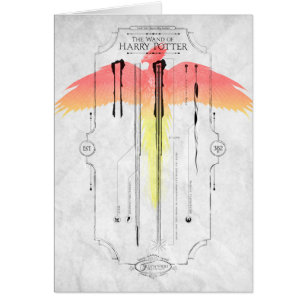Sortilège Harry Potter Infographie de la baguett
