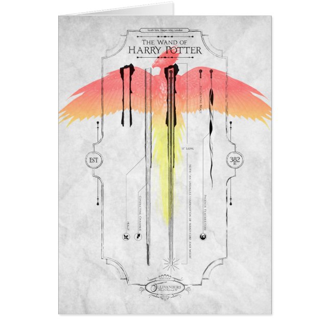 Sortilège Harry Potter | Infographie de la baguett (Devant)
