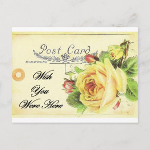Souhaitez-Vous Été Ici Carte Postale Vintage Rose