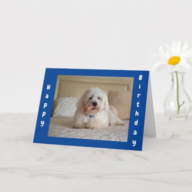 **SOUHAITS DE DOGGIE CUTE** CARTE D'ANNIVERSAIRE D (Petite plante)