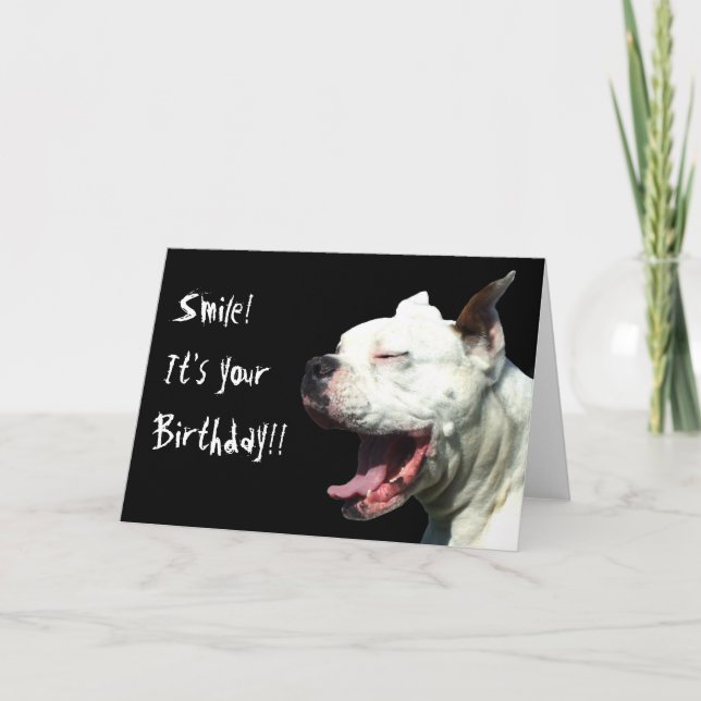 Souriez c'est votre anniversaire White Boxer carte (Devant)