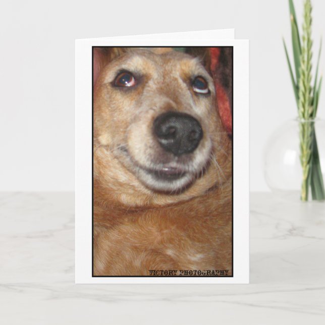"Sourire avec la carte de vos yeux" (Devant)