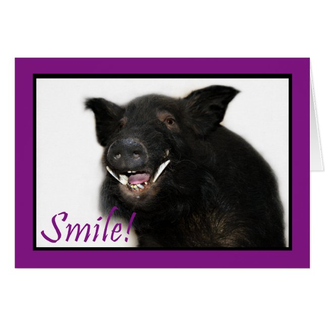 Sourire Toothy de porc (Devant horizontal)