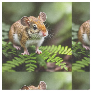 Souris à pattes de kangourou australienne, Tissu