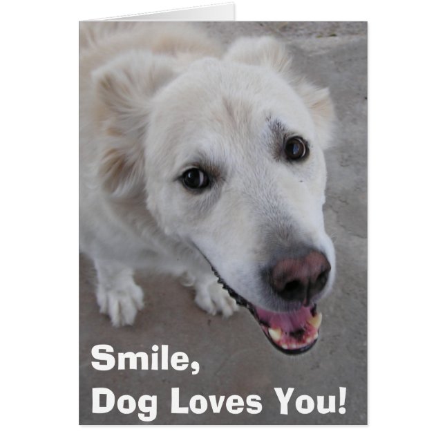 Souris, Chien T'Aime ! Carte (Devant)