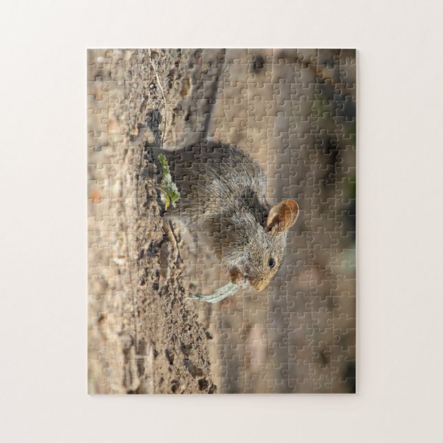 Souris dans le puzzle sauvage (Vertical)