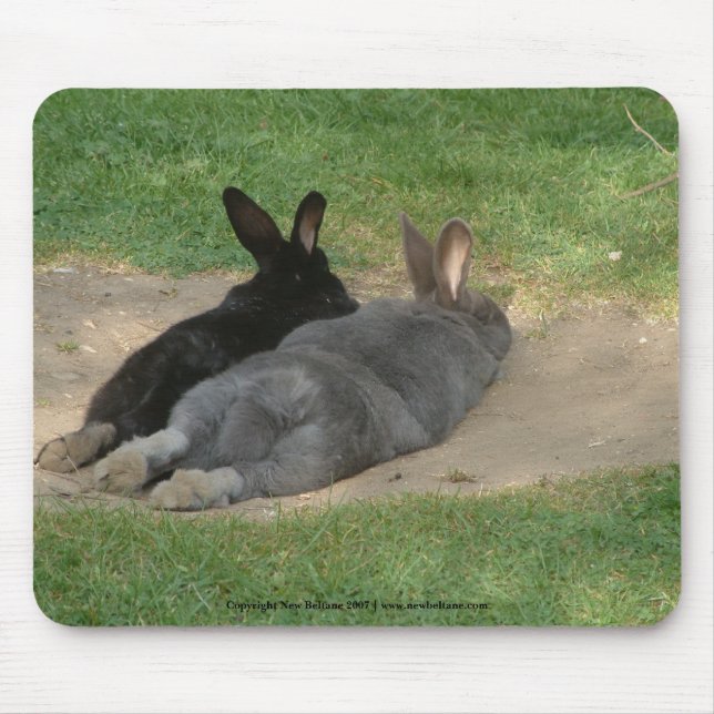 Souris Des lapins étirés - Tapis de souris. Personnaliser (Devant)