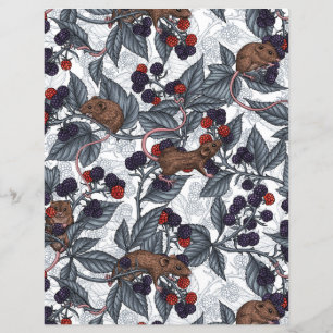 Souris et mûres sur blanc