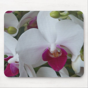 Souris Orchidées blanches et violettes sur un tapis de so