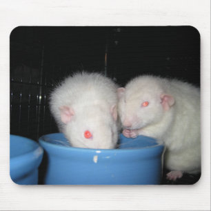 Souris Pas un tapis de souris…