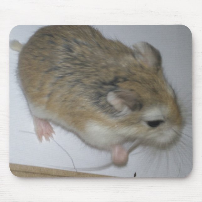 Souris Tapis de hamster (Devant)